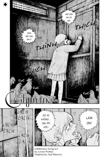 Tựa như chim mẹ